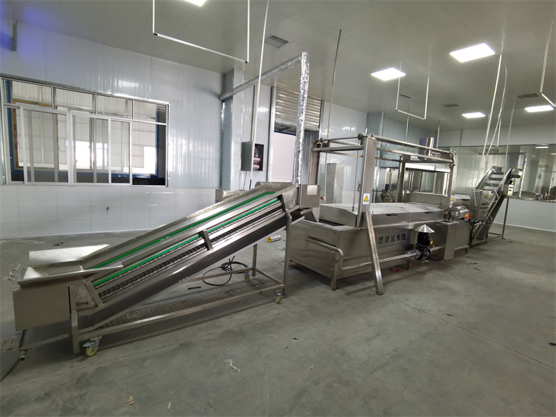 果蔬漂燙線中的提升機