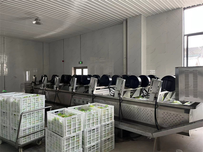 泡椒竹筍巴氏滅菌、冷卻、風(fēng)干流水線