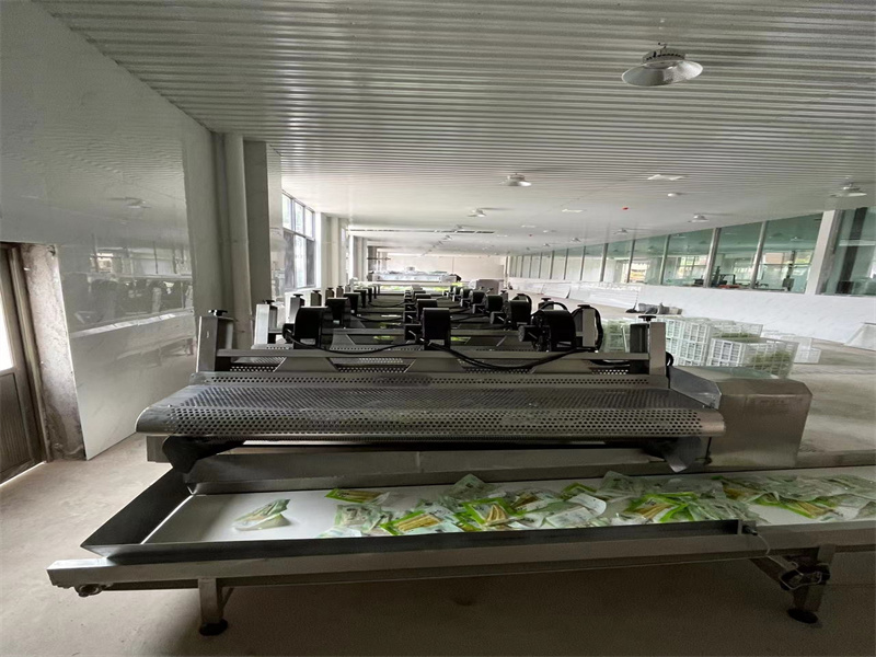 泡椒竹筍巴氏滅菌、冷卻、風(fēng)干流水線