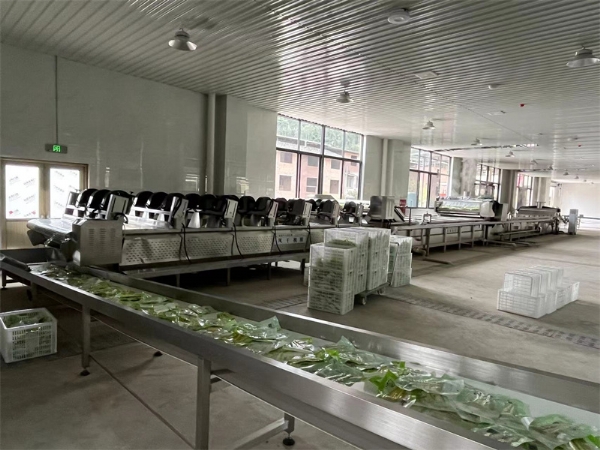 泡椒竹筍巴氏滅菌、冷卻、風(fēng)干流水線(xiàn)