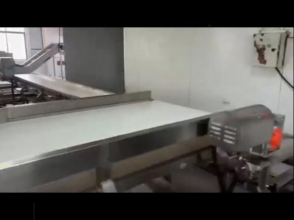 雞鴨副產(chǎn)品（魚類、海產(chǎn)等）解凍清洗蒸煮流水線